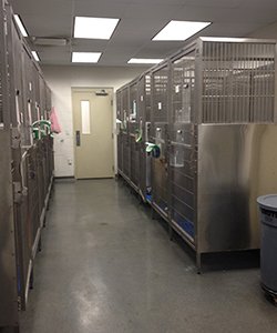 West Park Animal Hospital Tour | West Park Animal Hospital