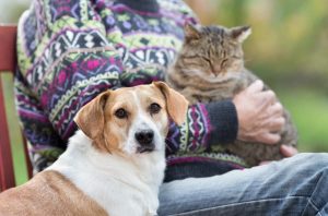 Owner With Cat on Lap Next to Dog